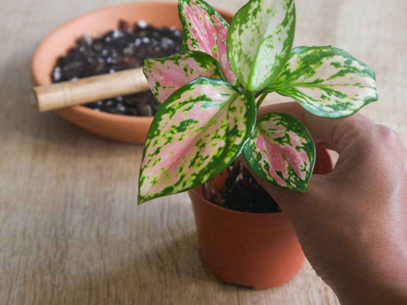 Empowering and Nurturing Talent to maximise returns for&nbsp;everyone